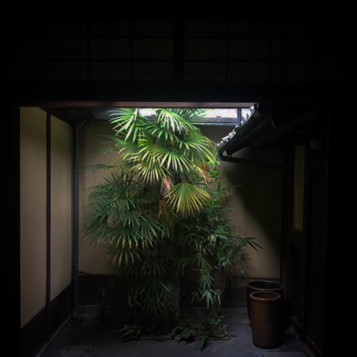 雨晴 正社員募集 1月11日（水）